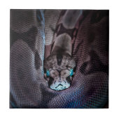 ハッピーバースデーヘビ タイル (正面)