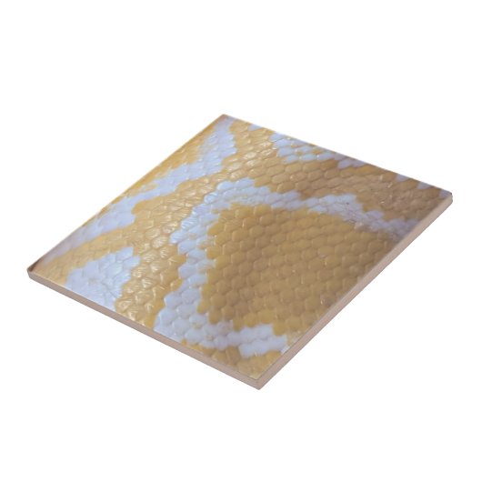 ハッピーバースデーヘビ タイル (側面)