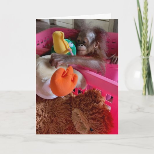 ハッピーバースデーベビーオランウタングラブトイ カード (正面)