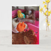 ハッピーバースデーベビーオランウタングラブトイ カード (黄色い花)