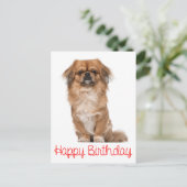 ハッピーバースデーペキンゲズパピードッグ ポストカード (スタンド正面)