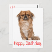 ハッピーバースデーペキンゲズパピードッグ ポストカード (正面/裏面)