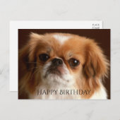 ハッピーバースデーペキンゲズレッドブラウンパピードッグブラック ポストカード (正面/裏面)
