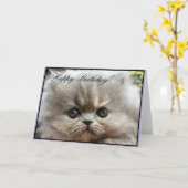 ハッピーバースデーペルシャの子猫のグリーティングカード カード (黄色い花)