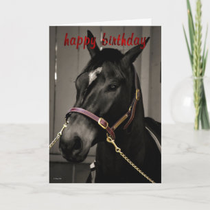 ハッピーバースデーホース誕生日カード馬好き カード