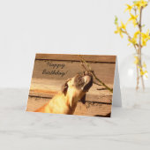 ハッピーバースデーボクサーのパピースグリーティングカード カード (黄色い花)