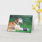 ハッピーバースデーボクサーパパとパピーあいさつカード カード (黄色い花)