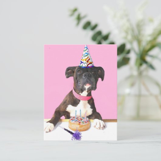 ハッピーバースデーボクサー犬はがき ポストカード (スタンド正面)