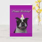 ハッピーバースデーボストン カード (黄色い花)