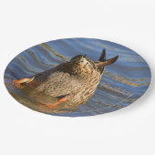 ハッピーバースデーボトムズアップダック ペーパープレート (アングル)