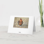 ハッピーバースデーポーランドクレステッドルースター カード (裏面)