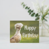 ハッピーバースデーポーランドチキン ポストカード (スタンド正面)