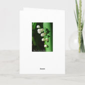 ハッピーバースデーマザーリリーオブザバレー カード (裏面)