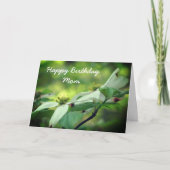 ハッピーバースデーママハクウッドフラワーカード カード (正面)