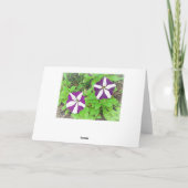 ハッピーバースデーマムパープルペチュニア カード (裏面)