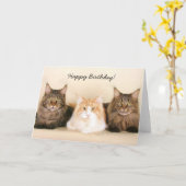 ハッピーバースデーメーヌクーンキャッツあいさつカード カード (黄色い花)