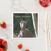 ハッピーバースデーヤギ スタンダードカクテルナプキン (インサイチュ)