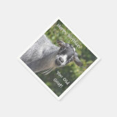 ハッピーバースデーユーオールドヤギ紙ナプキン スタンダードカクテルナプキン (角)