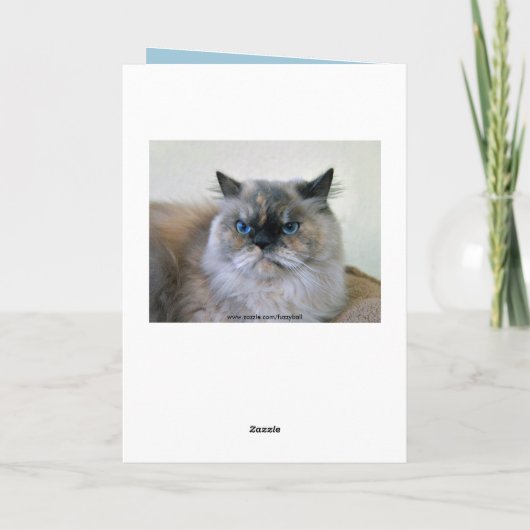 ハッピーバースデーユーモアヒマラヤペルシャ猫 カード (裏面)