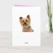 ハッピーバースデーヨークシャーテリアパピードッグピンク カード (裏面)