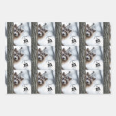 ハッピーバースデーラクーンラッピング紙シート🦝🎁 ラッピングペーパーシート (正面2)