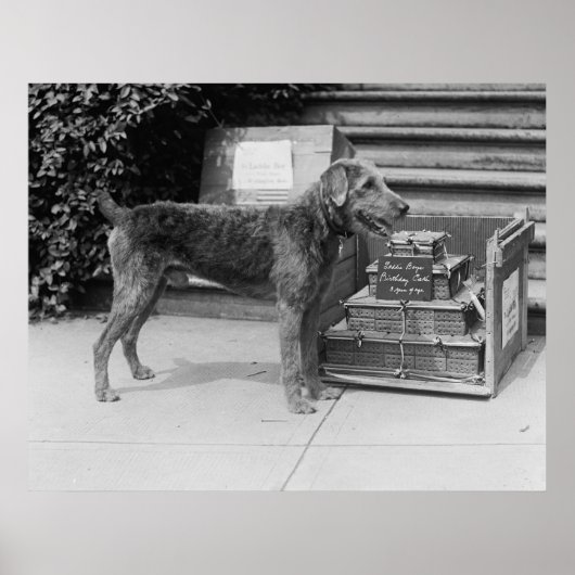 ハッピーバースデーラディーボーイ, 1920年代 ポスター (正面)