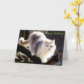 ハッピーバースデーリアンカリコメーンクーンカード カード (黄色い花)