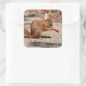 ハッピーバースデーリス スクエアシール (バッグ)