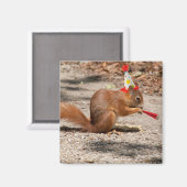 ハッピーバースデーリス マグネット (正面/裏面)