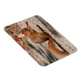 ハッピーバースデーリス マグネット (右側)