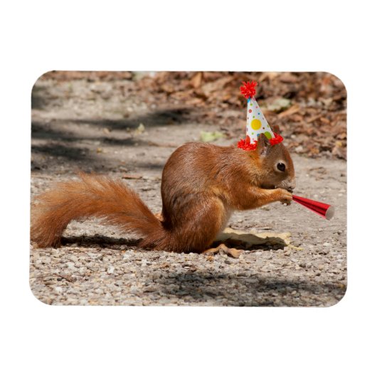 ハッピーバースデーリス マグネット (横)