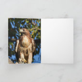 ハッピーバースデーレッドテールホーク カード (内部)