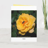 ハッピーバースデーレッド&イエローローズカード カード (裏面)