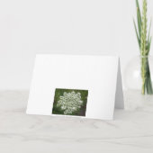 ハッピーバースデーレース カード (裏面)