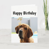 ハッピーバースデー中年の丘の上のユーモアドッグ カード (正面)