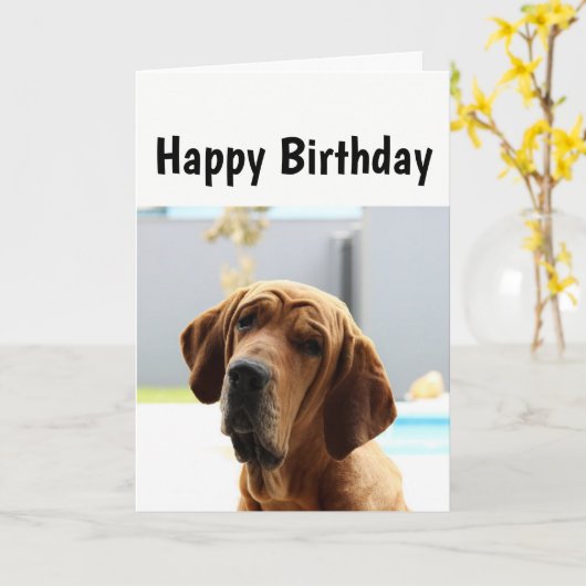 ハッピーバースデー中年の丘の上のユーモアドッグ カード (黄色い花)