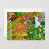 ハッピーバースデー付アロハポストカード ポストカード (正面/裏面)