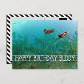 ハッピーバースデー仲間(2羽) ポストカード (正面/裏面)