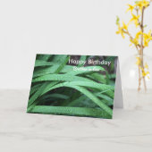 ハッピーバースデー兄弟 カード (黄色い花)