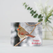 ハッピーバースデー北（鳥）ショウジョウコウカンチョウ葉書 ポストカード (スタンド正面)