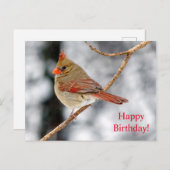 ハッピーバースデー北（鳥）ショウジョウコウカンチョウ葉書 ポストカード (正面/裏面)