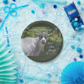 ハッピーバースデー古いヤギのプレート ペーパープレート (パーティー)