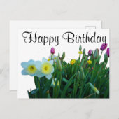 ハッピーバースデー大面取り水仙#2はがき ポストカード (正面/裏面)