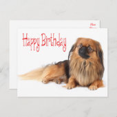 ハッピーバースデー子犬レッド ポストカード (正面/裏面)