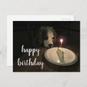 ハッピーバースデー子犬 | ポストカード (正面/裏面)