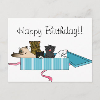 ハッピーバースデー子猫はがき ポストカード