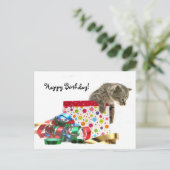 ハッピーバースデー子 ポストカード (スタンド正面)