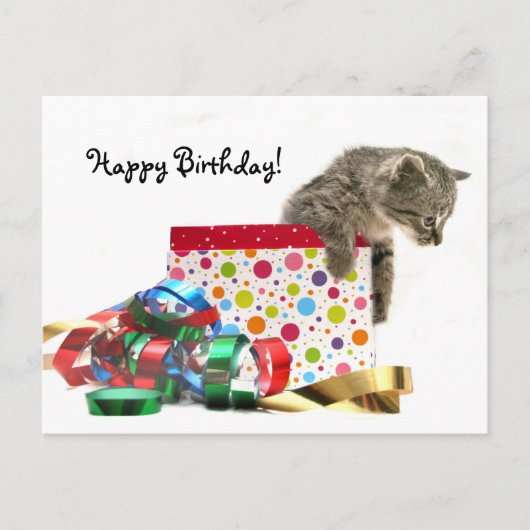 ハッピーバースデー子 ポストカード (正面)