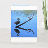 ハッピーバースデー小鳥ユーモア カード (裏面)