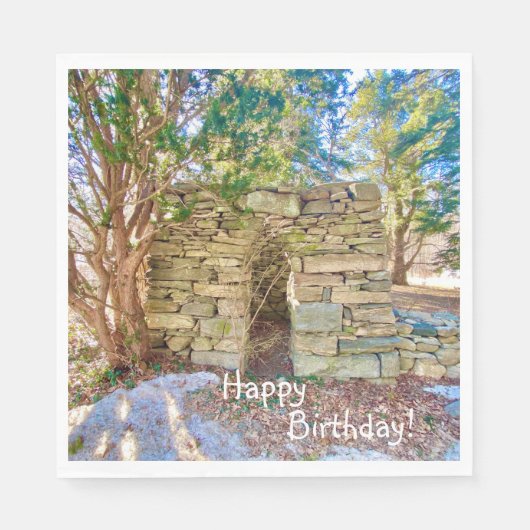 ハッピーバースデー履歴バフ スタンダードランチョンナプキン (正面)